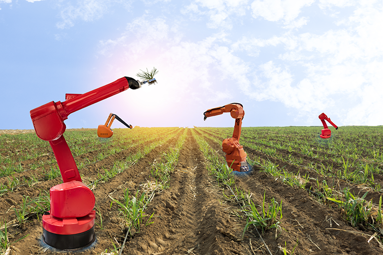 Agriculture robots harvesting crops