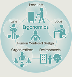 Ergonomics Diagram