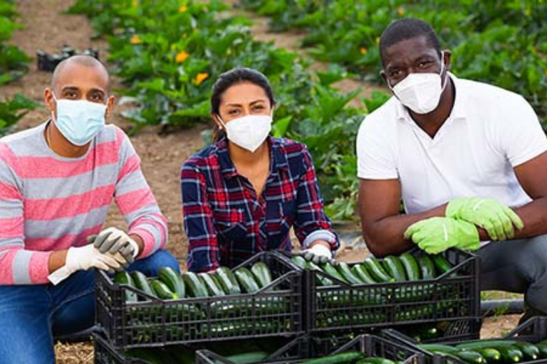 Three smiling farm workers