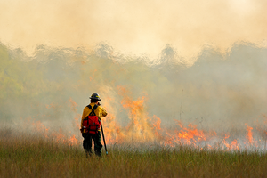 Firefighter and wildfire